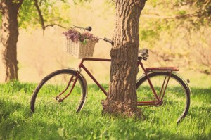 Fahrrad am Baum